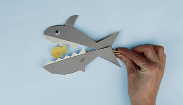 Shark Craft
